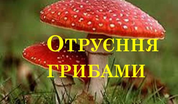 УВАГА!!! ЯК УНИКНУТИ ОТРУЄНЬ ГРИБАМИ!