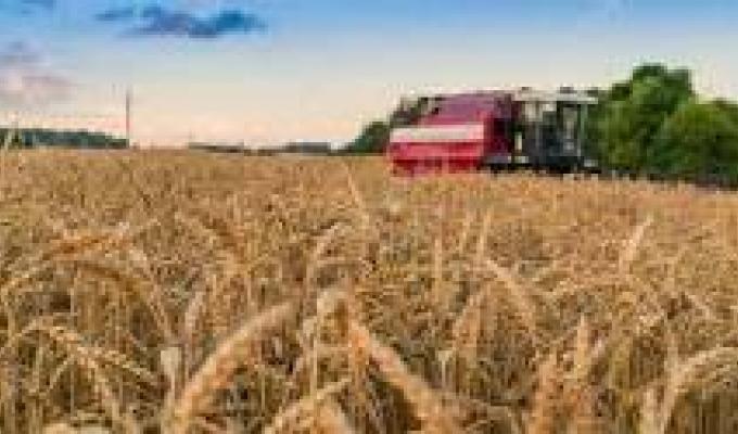 У Троїцькому районі стартували жнива 2017