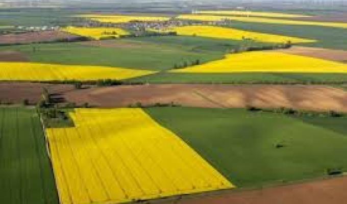 Як правильно оформити договір оренди землі