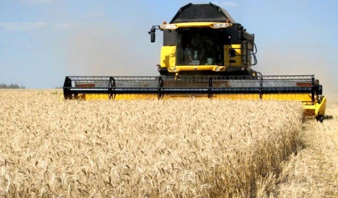 Сільськогосподарські товаровиробники району намолотили 101 тис. тонн зернових та зернобобових культур