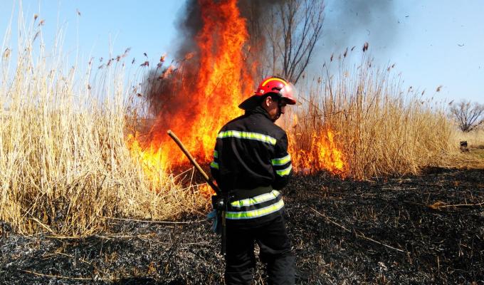 Пожежі сухої трави та очерету на території троїцького району