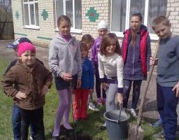 Всеукраїнська акція «За чисте довкілля»