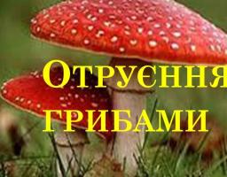УВАГА!!! ЯК УНИКНУТИ ОТРУЄНЬ ГРИБАМИ!