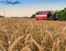 У Троїцькому районі стартували жнива 2017