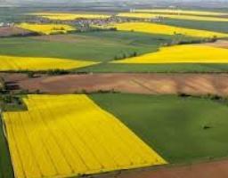 Як правильно оформити договір оренди землі