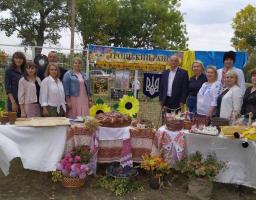 Відзначення Дня селища та другої річниці Троїцької ОТГ 