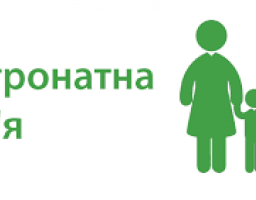 На території Троїцького району запрацювала послуга патронату над дитиною 